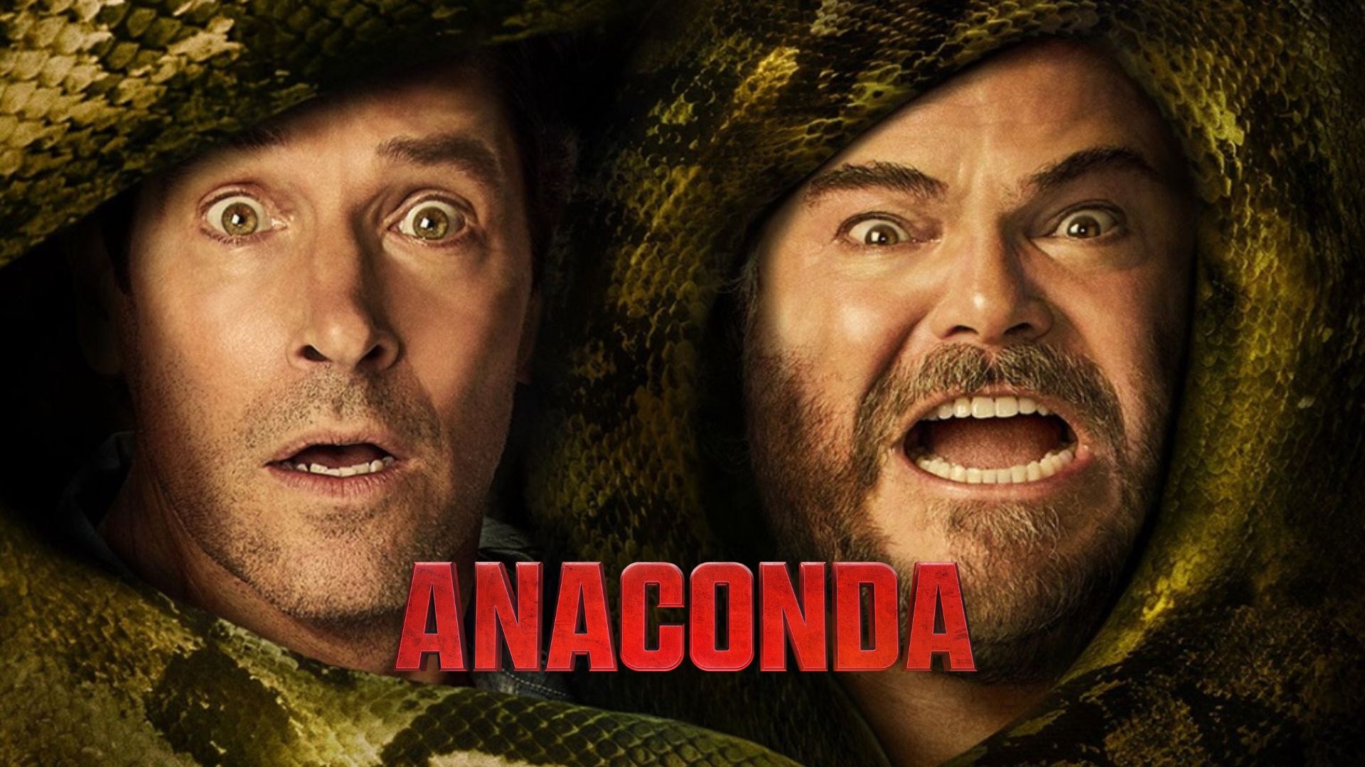 ANACONDA